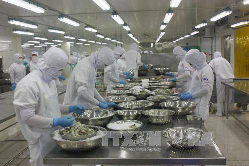 Cơ hội để hoàn thiện hệ thống quản lý nghề cá ở Việt Nam 